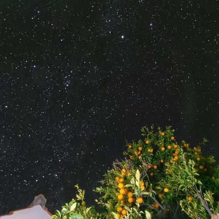 "Villa Servanda " - Relax, Nature, Wide Views Of The Sea And A Starry Sky Puntagorda 外观 照片