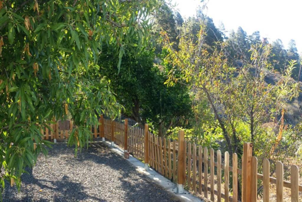 "Villa Servanda " - Relax, Nature, Wide Views Of The Sea And A Starry Sky Puntagorda 外观 照片