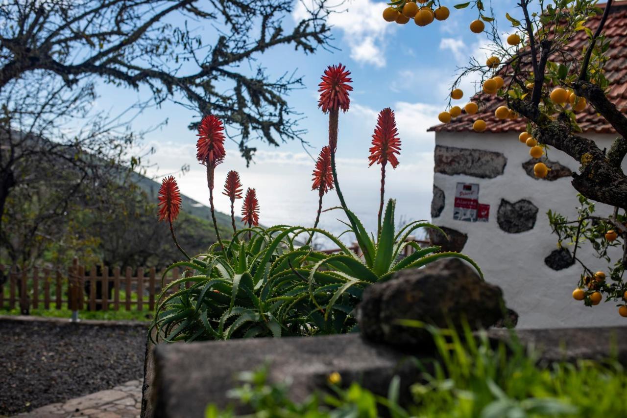 "Villa Servanda " - Relax, Nature, Wide Views Of The Sea And A Starry Sky Puntagorda 外观 照片