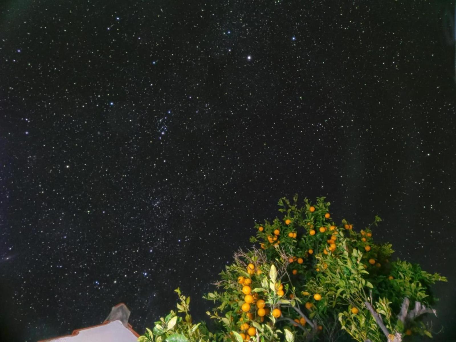 "Villa Servanda " - Relax, Nature, Wide Views Of The Sea And A Starry Sky Puntagorda 外观 照片